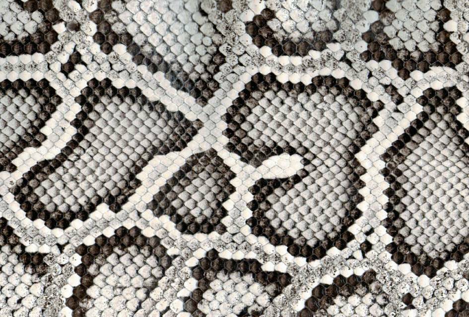 Whose Skin Are You In? - Inside The Closet